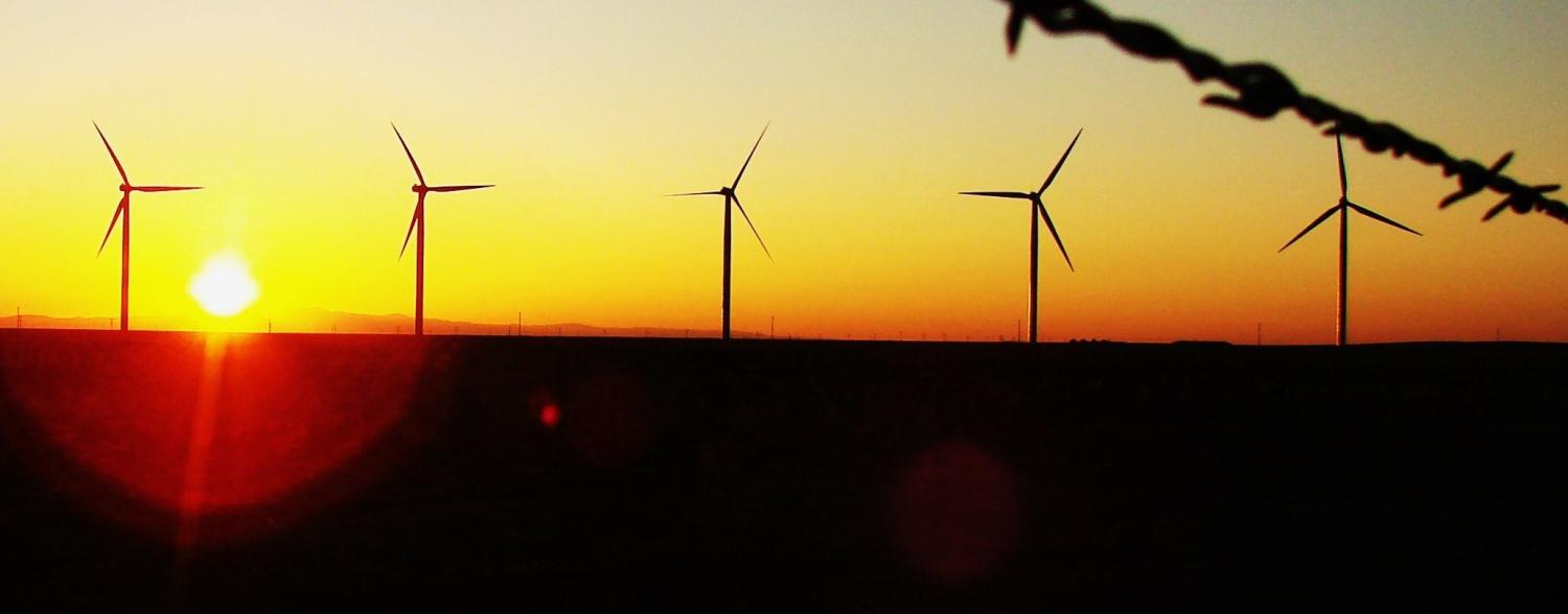 Photo: Flickr/Chrishna