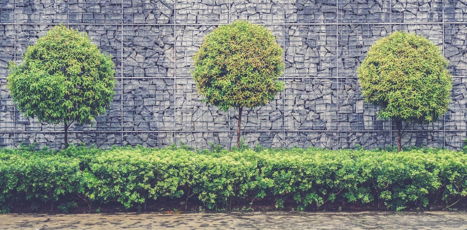 Xi’s flagship program for infrastructure investment is facilitating a shift of environmentally destructive policies away from China to other countries. (Photo: Mike Enerio/ unsplash)