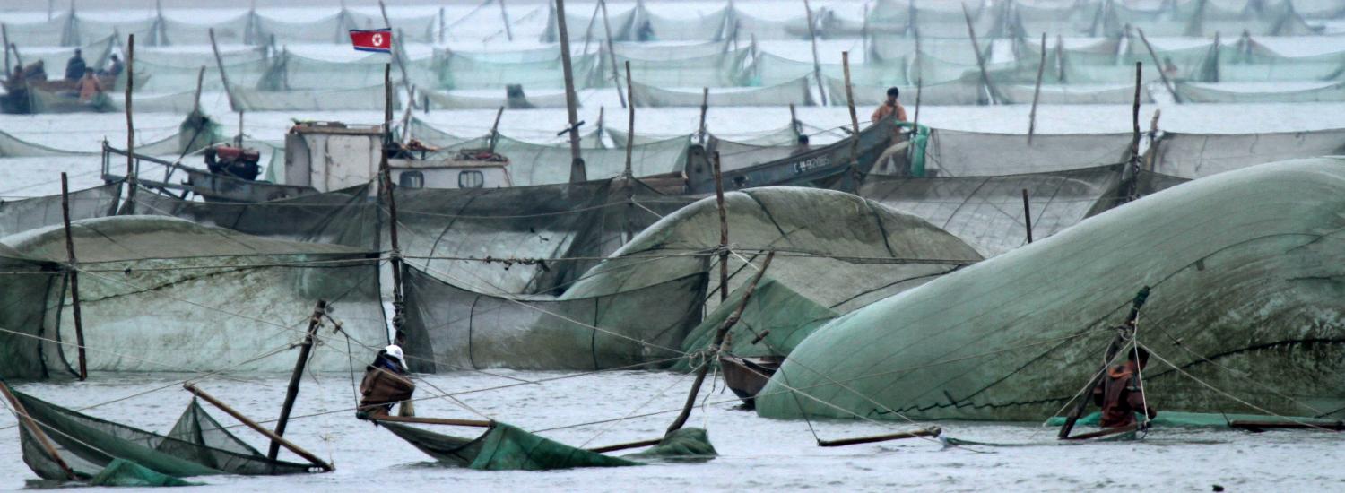 Photo: Getty Images/Barcroft Media