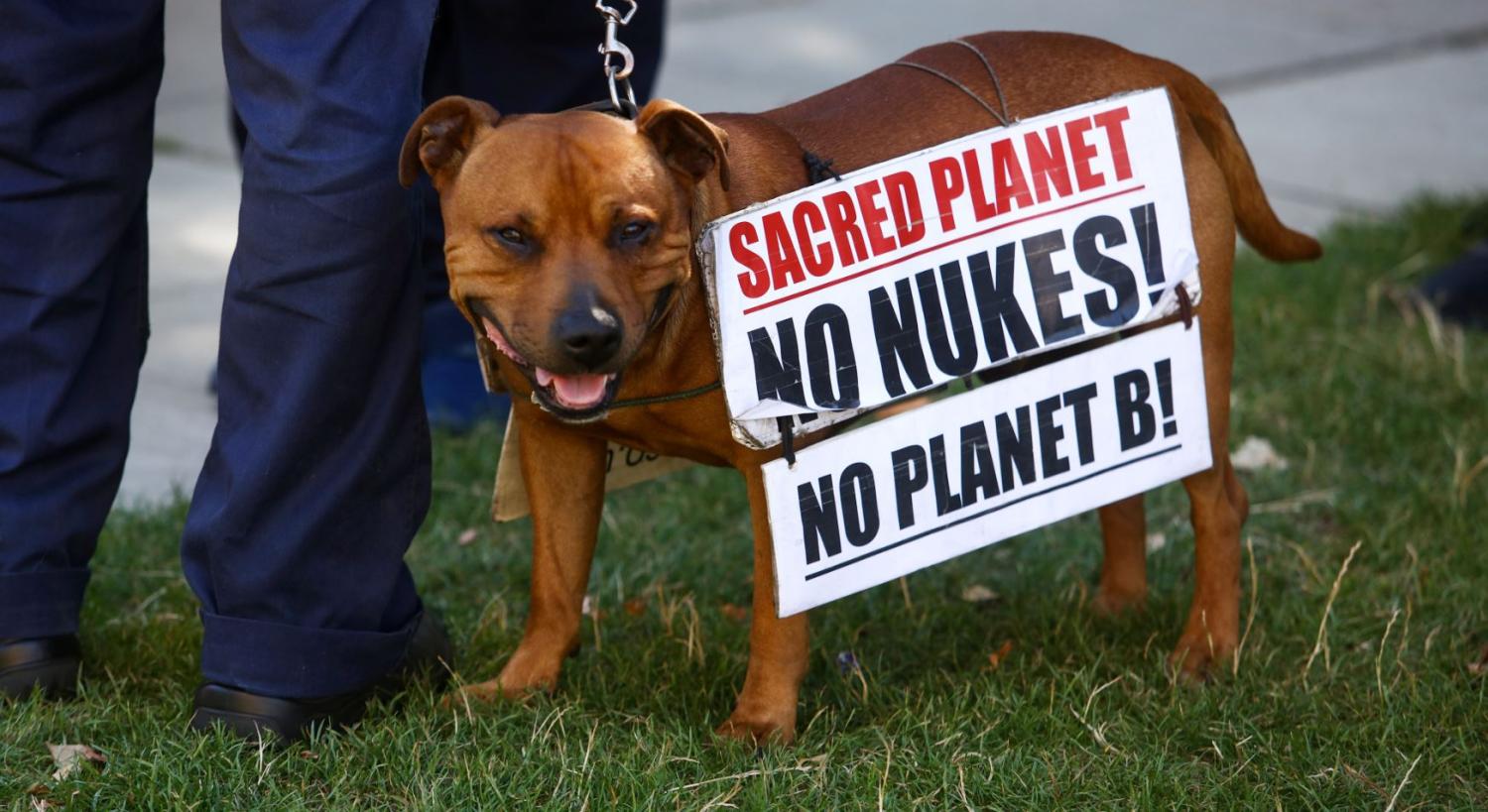 Australia digs itself deeper into nuclear disarmament policy hole