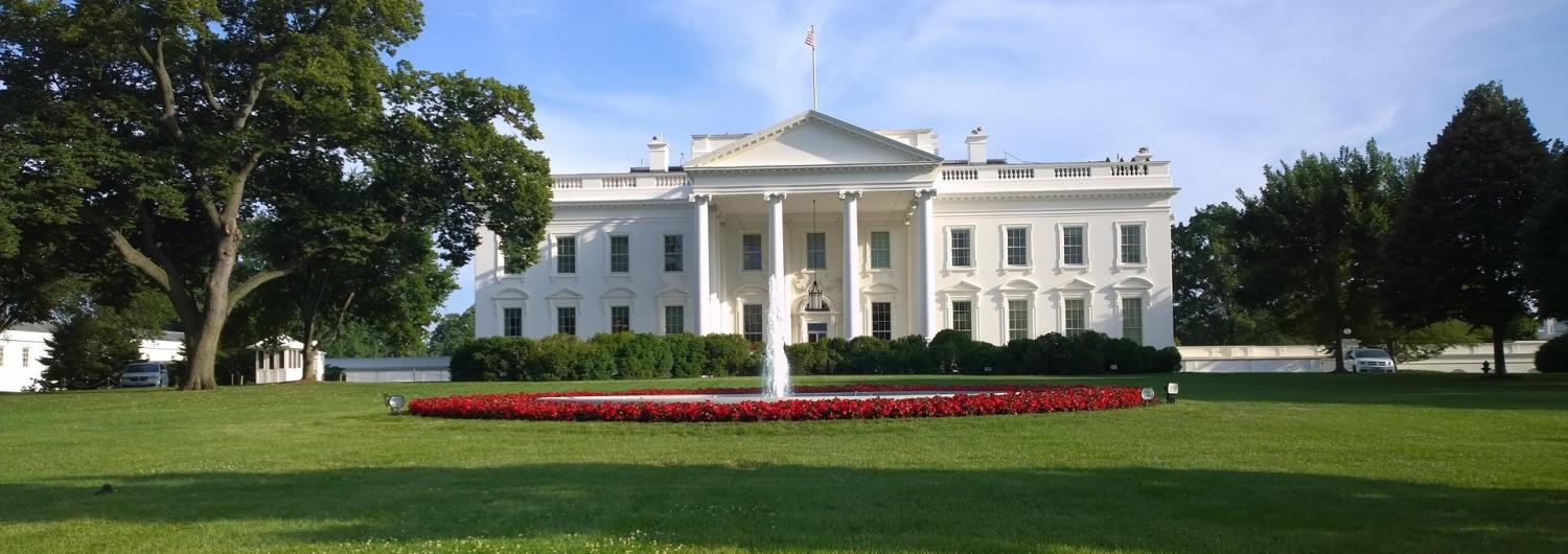 Flynn the first casualty in chaotic Trump White House